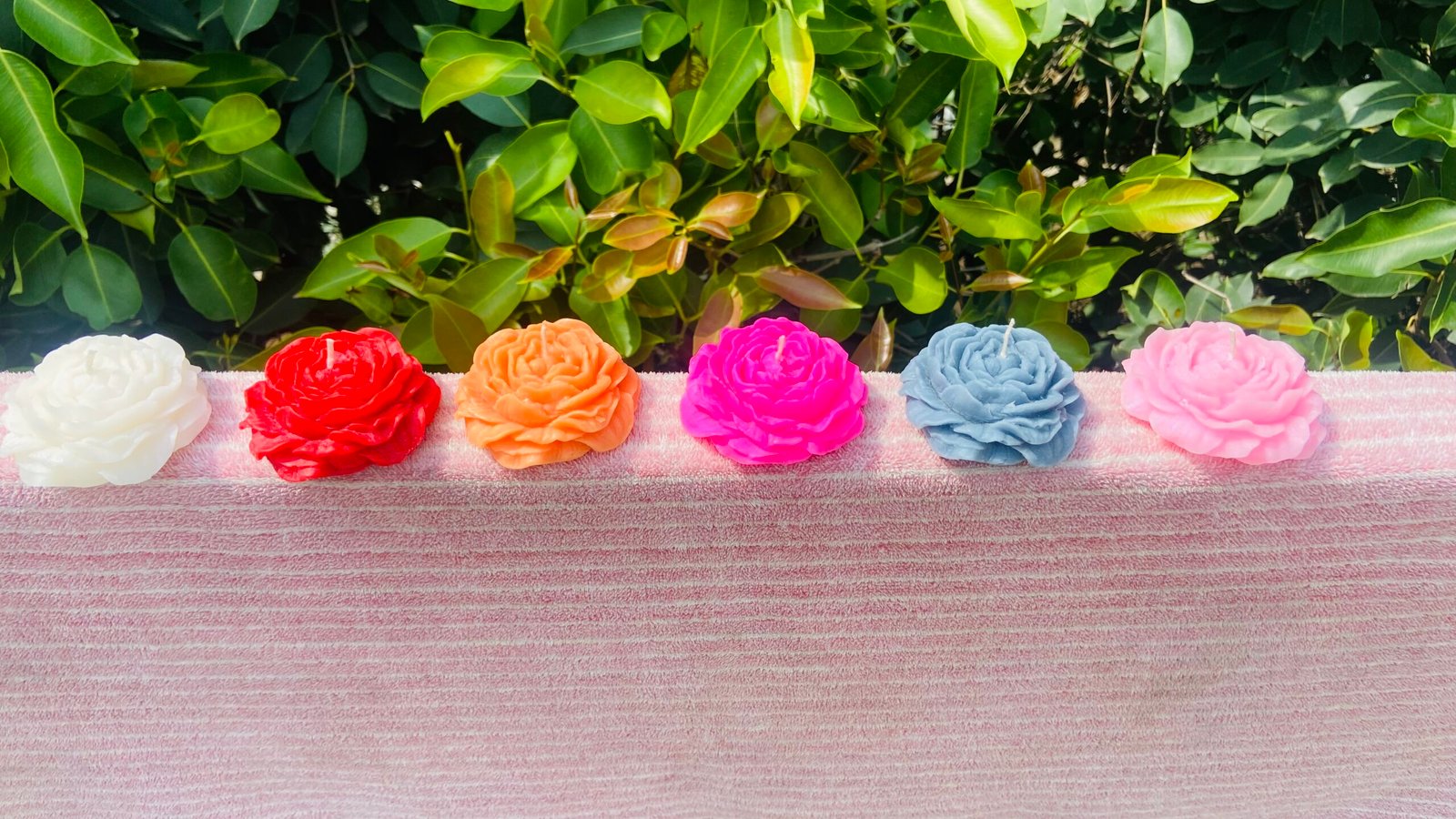 Scented Peony Candles pack of 6