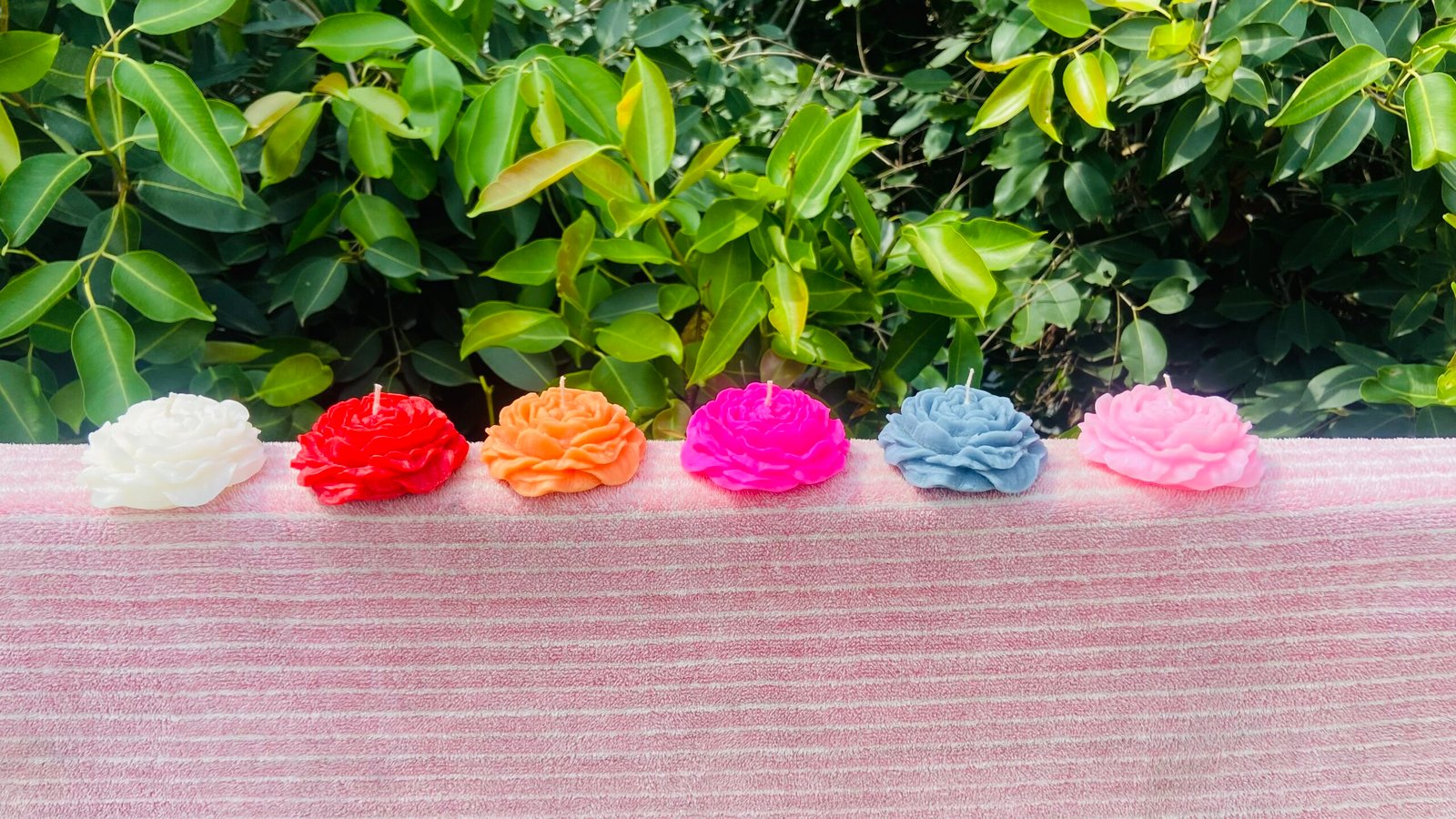Scented Peony Candles